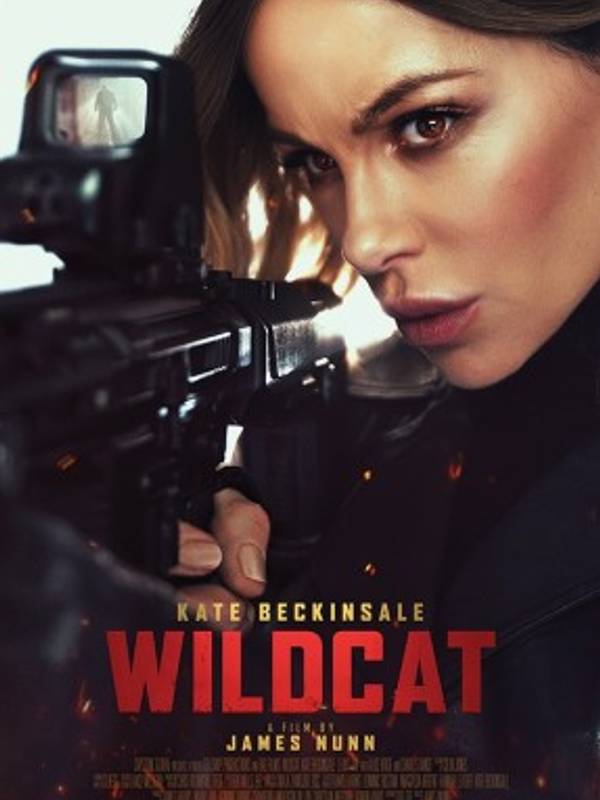WILDCAT